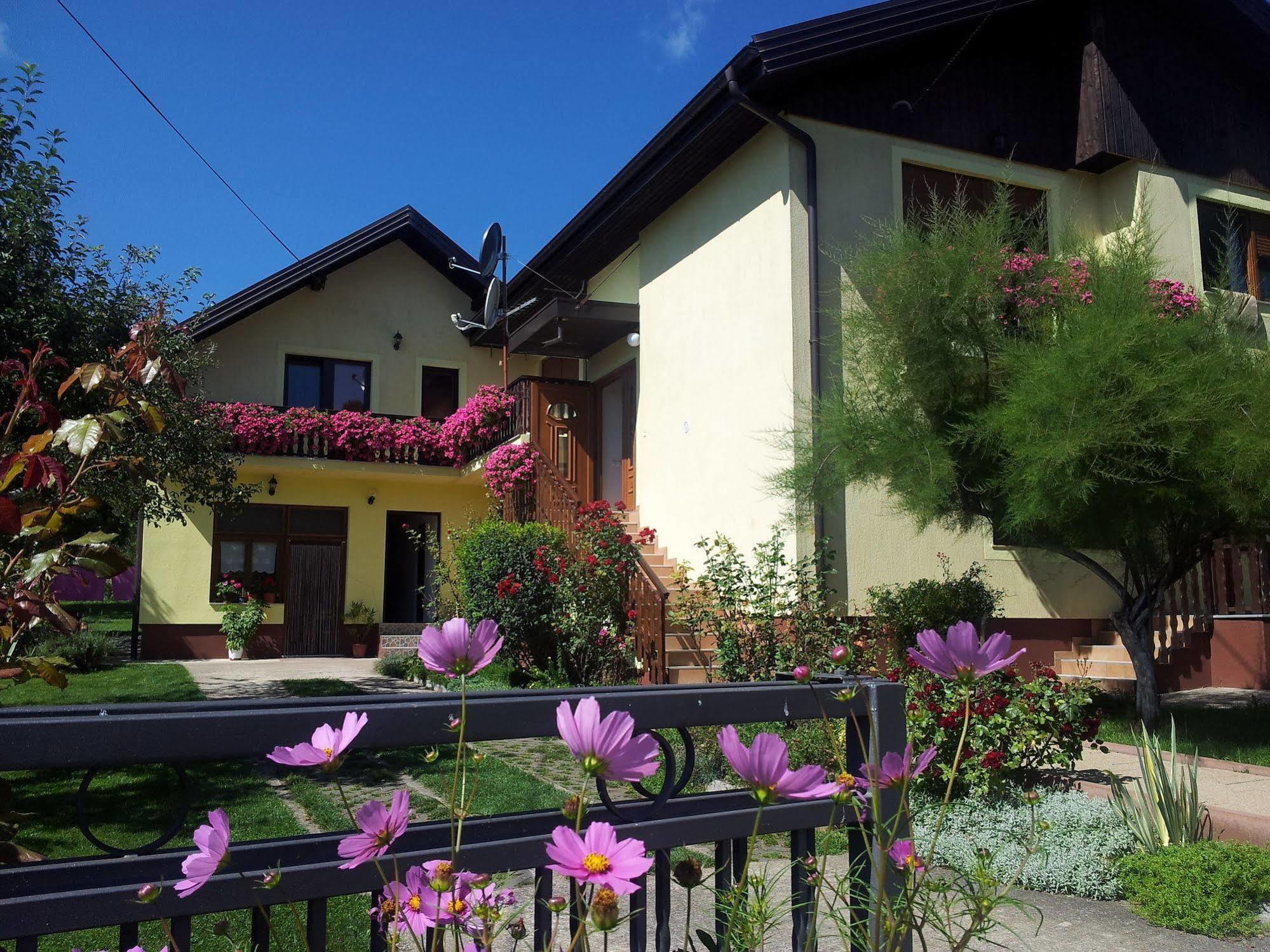 St George B&B Korenica Exterior foto